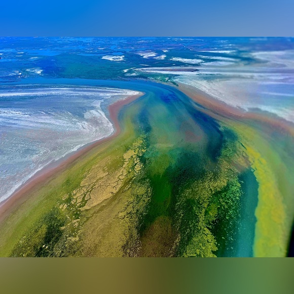 Meet your Posher, Benz Her - Picture 6 of 16